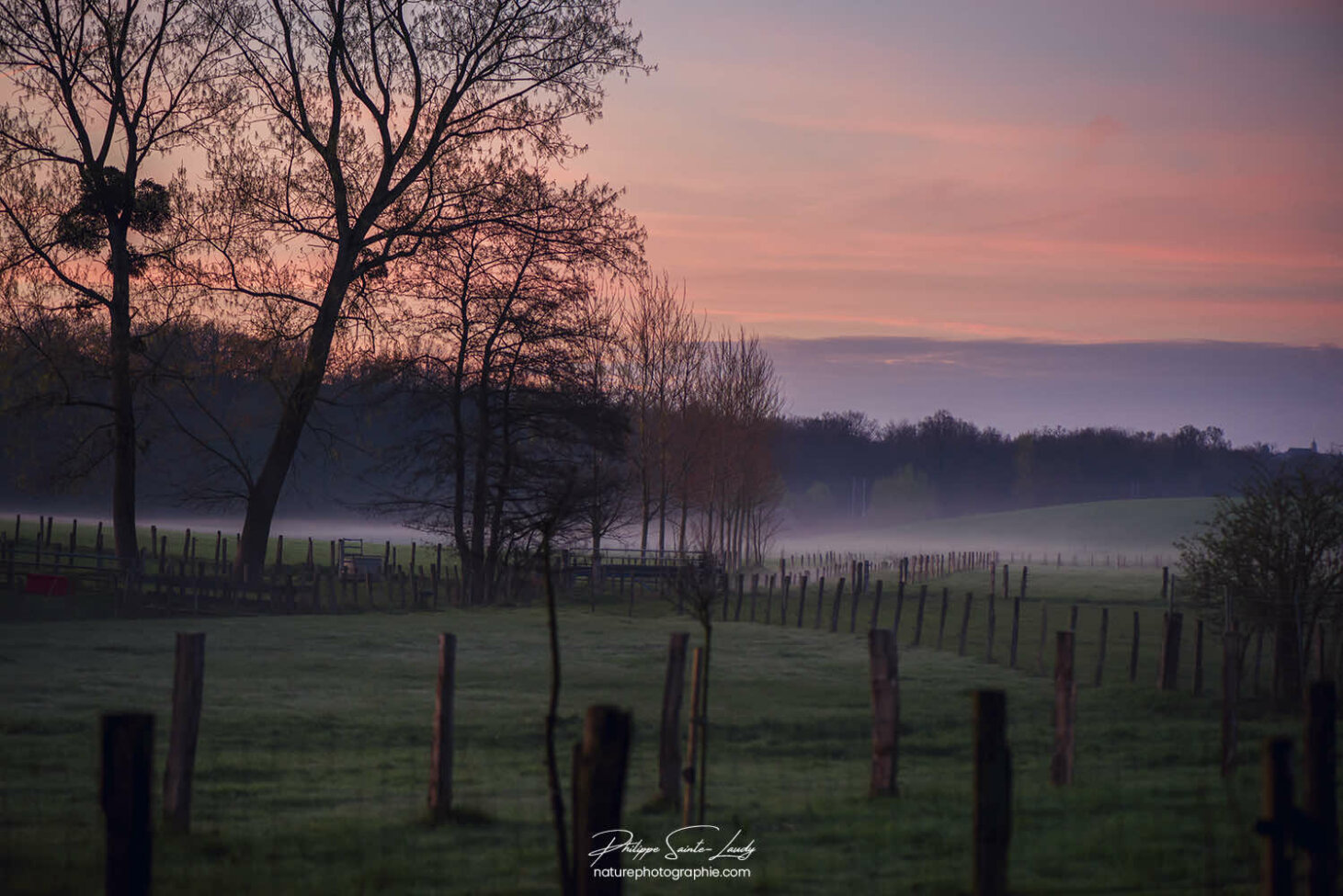 Les premières lueurs de l'aube