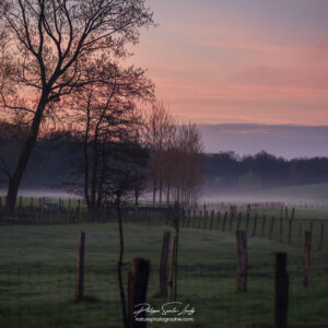 Les premières lueurs de l'aube