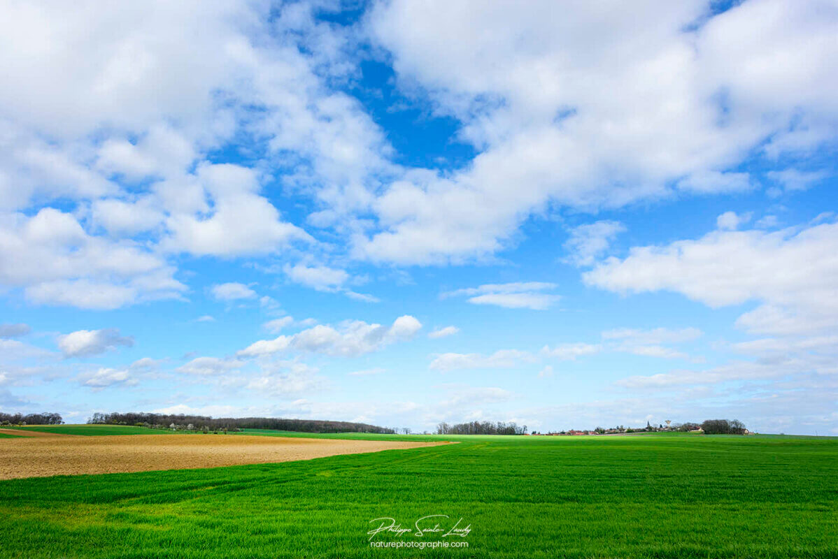 Campagne et ciel bleu