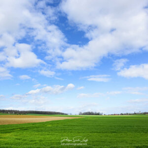 Campagne et ciel bleu