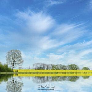 Un reflet imaginaire…