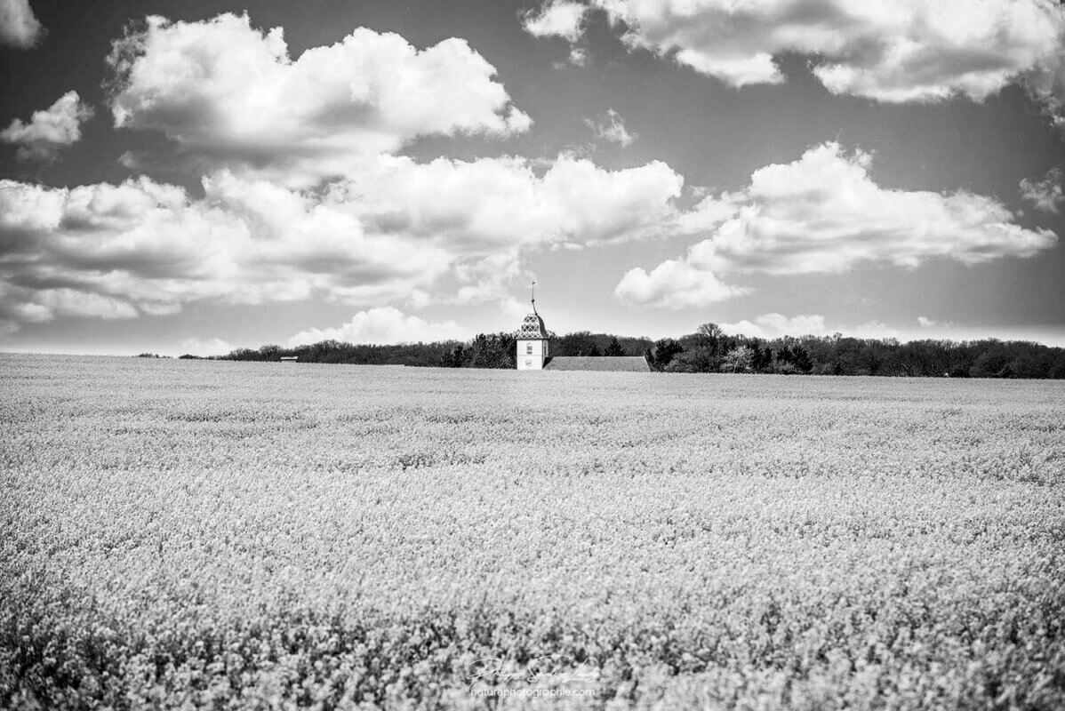 Paysage en noir et blanc