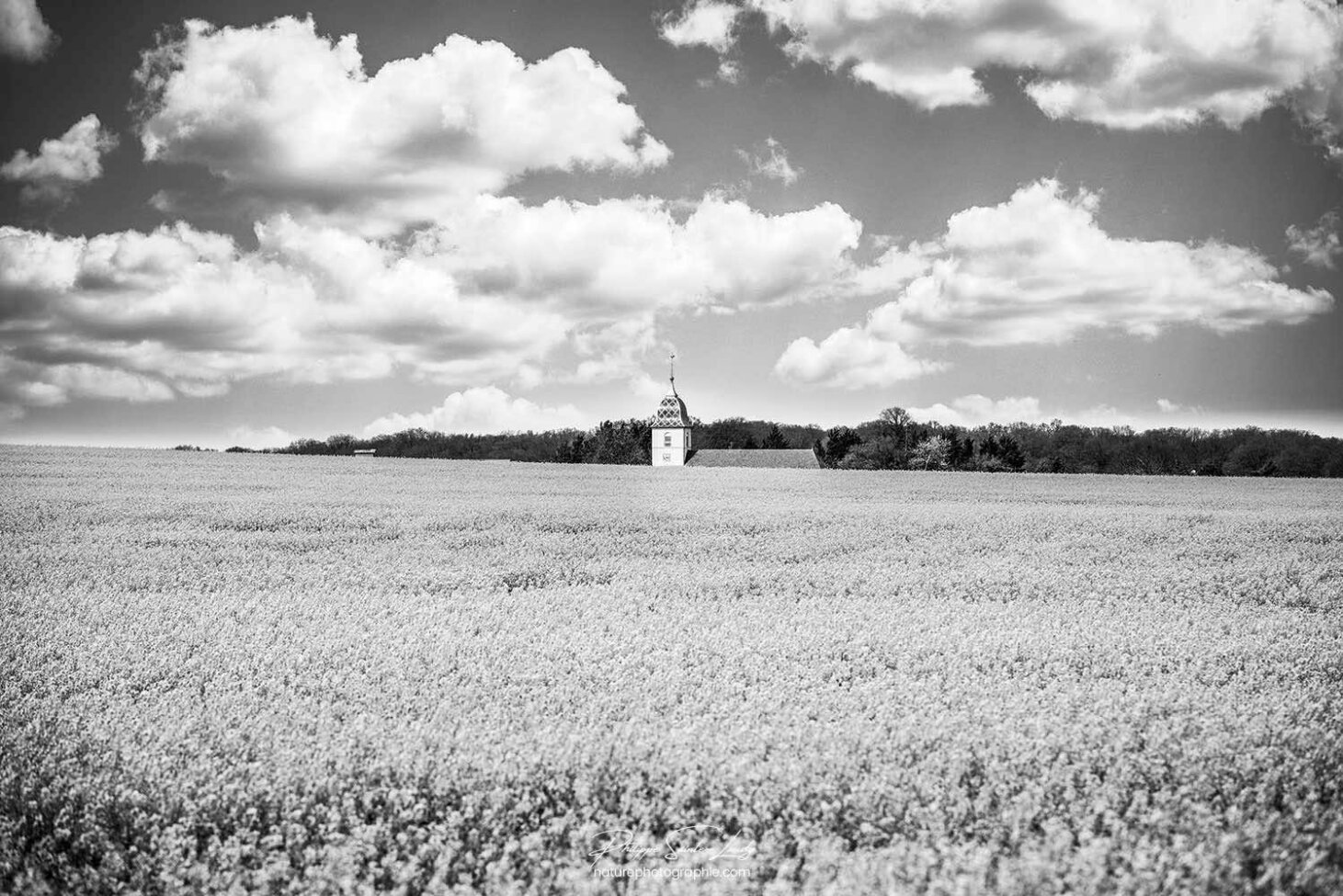 Paysage en noir et blanc