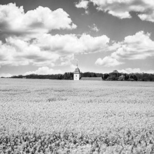 Paysage en noir et blanc