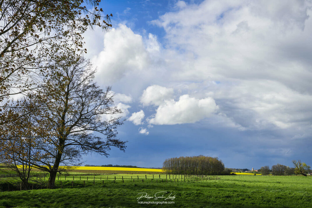 De vrais gros bons nuages