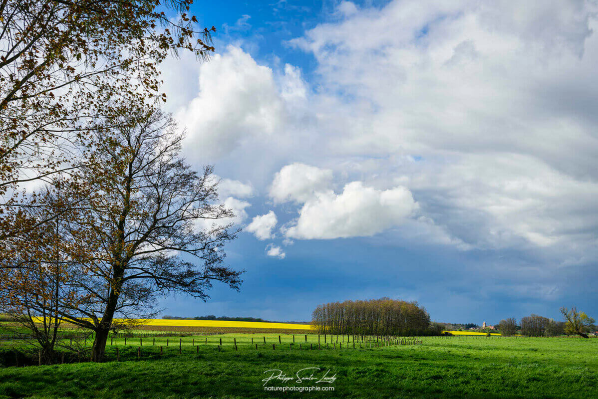 De vrais gros bons nuages