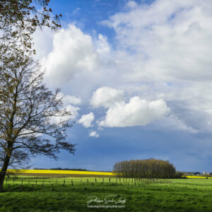 De vrais gros bons nuages