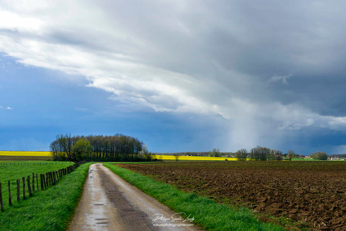 Ciel de pluie