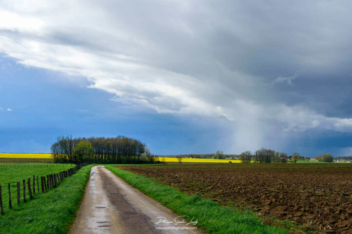 Ciel de pluie