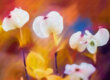 Paintographie et variations de couleurs
