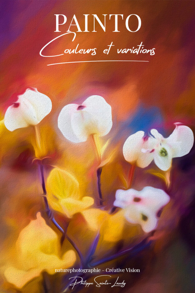 Paintographie et variations de couleurs