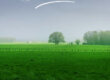 Paysages aux couleurs du printemps