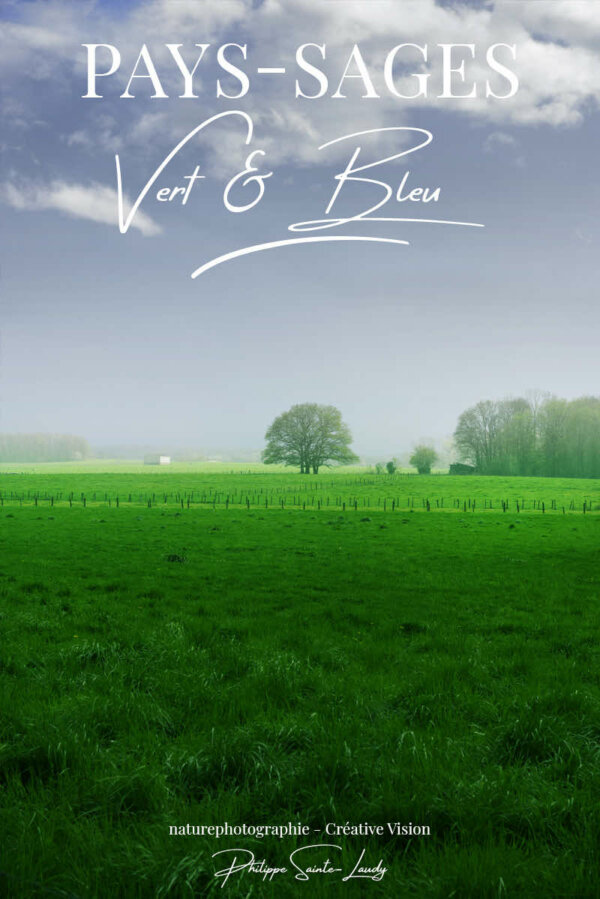 Paysages-verts-de-printemps Paysages aux couleurs du printemps