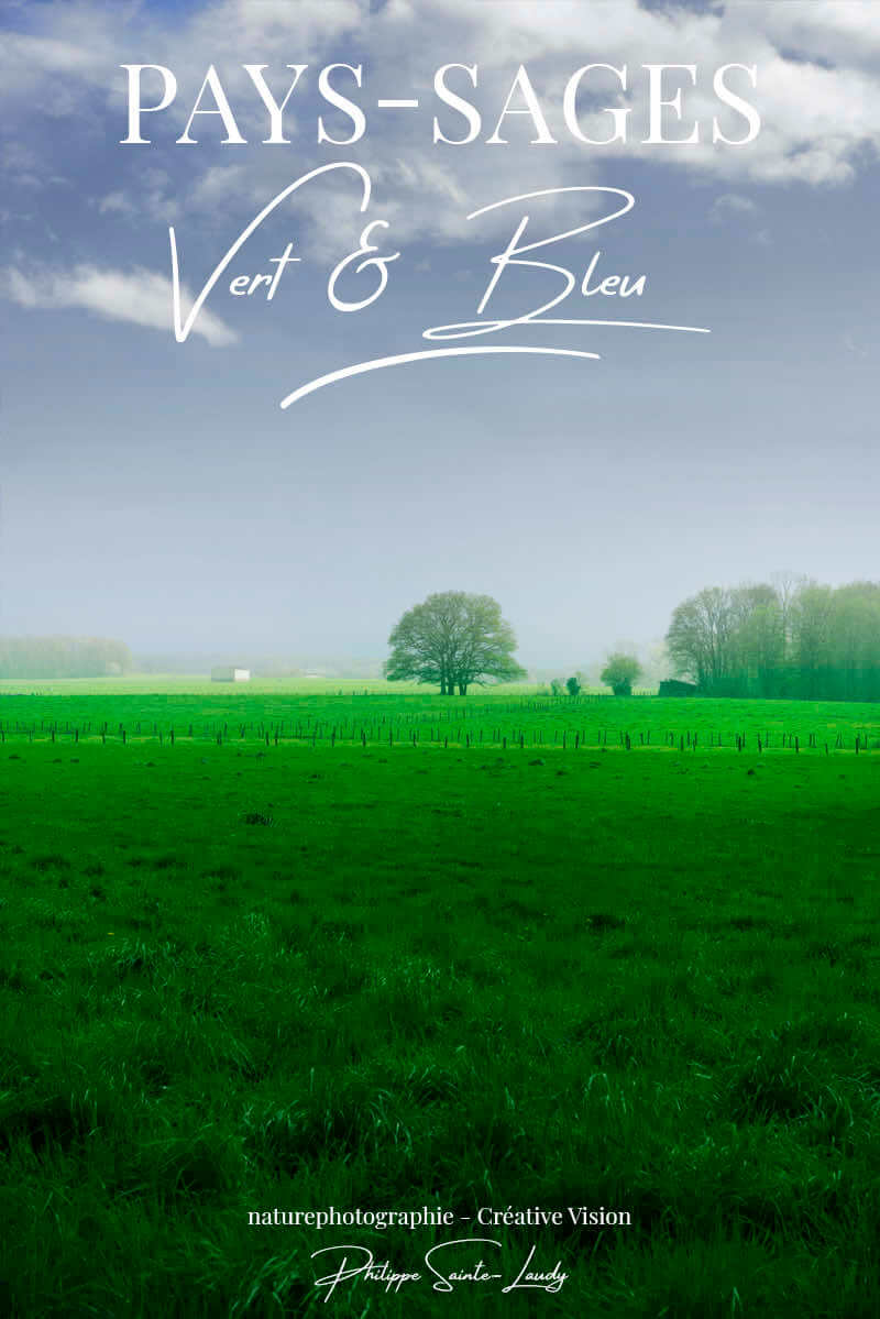 Paysages-verts-de-printemps Paysages aux couleurs du printemps