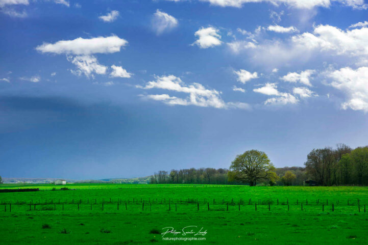 Campagne verte et bleue