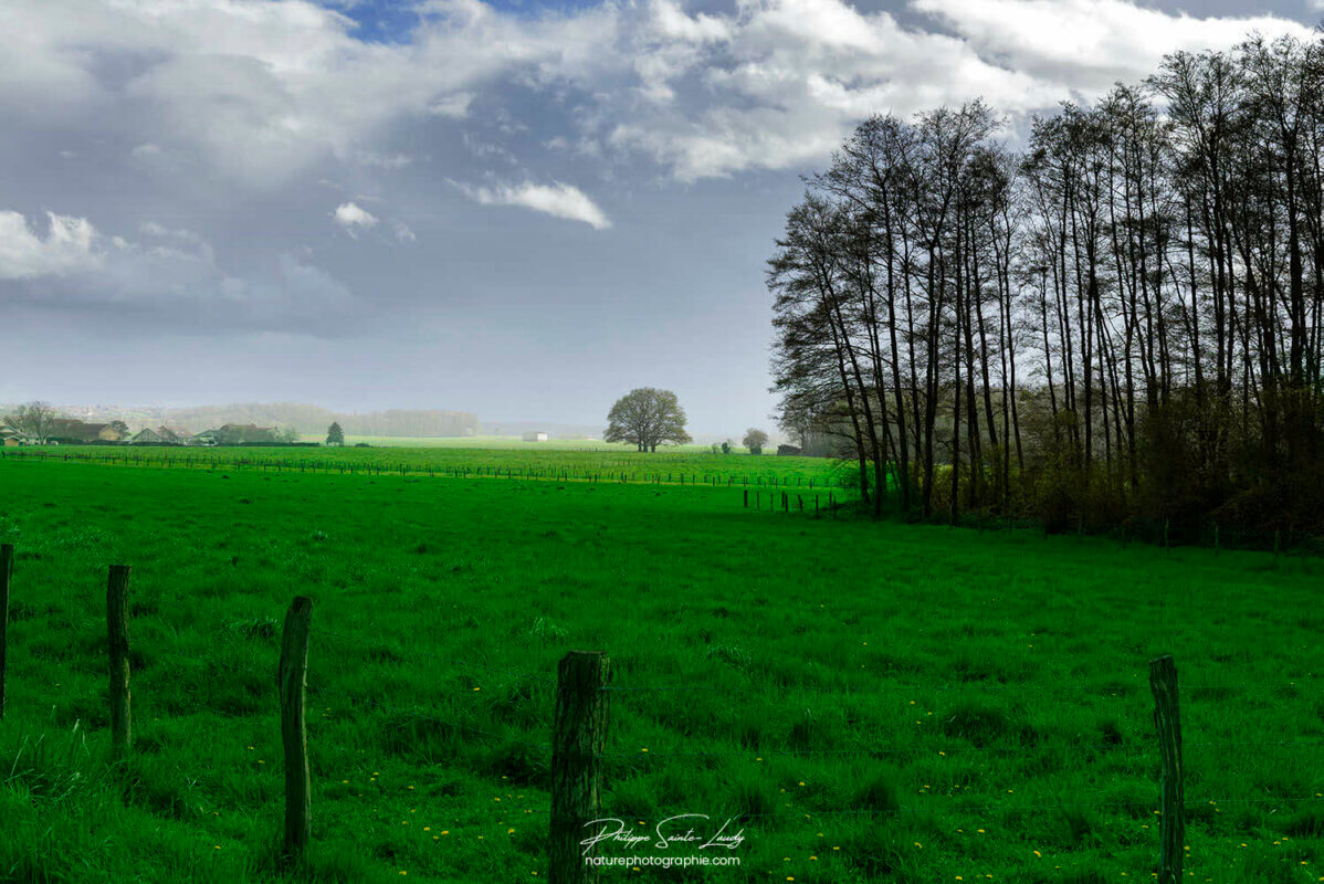 Paysage de printemps