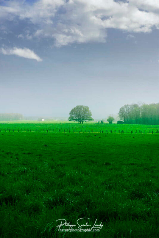 Paysage avant l'orage