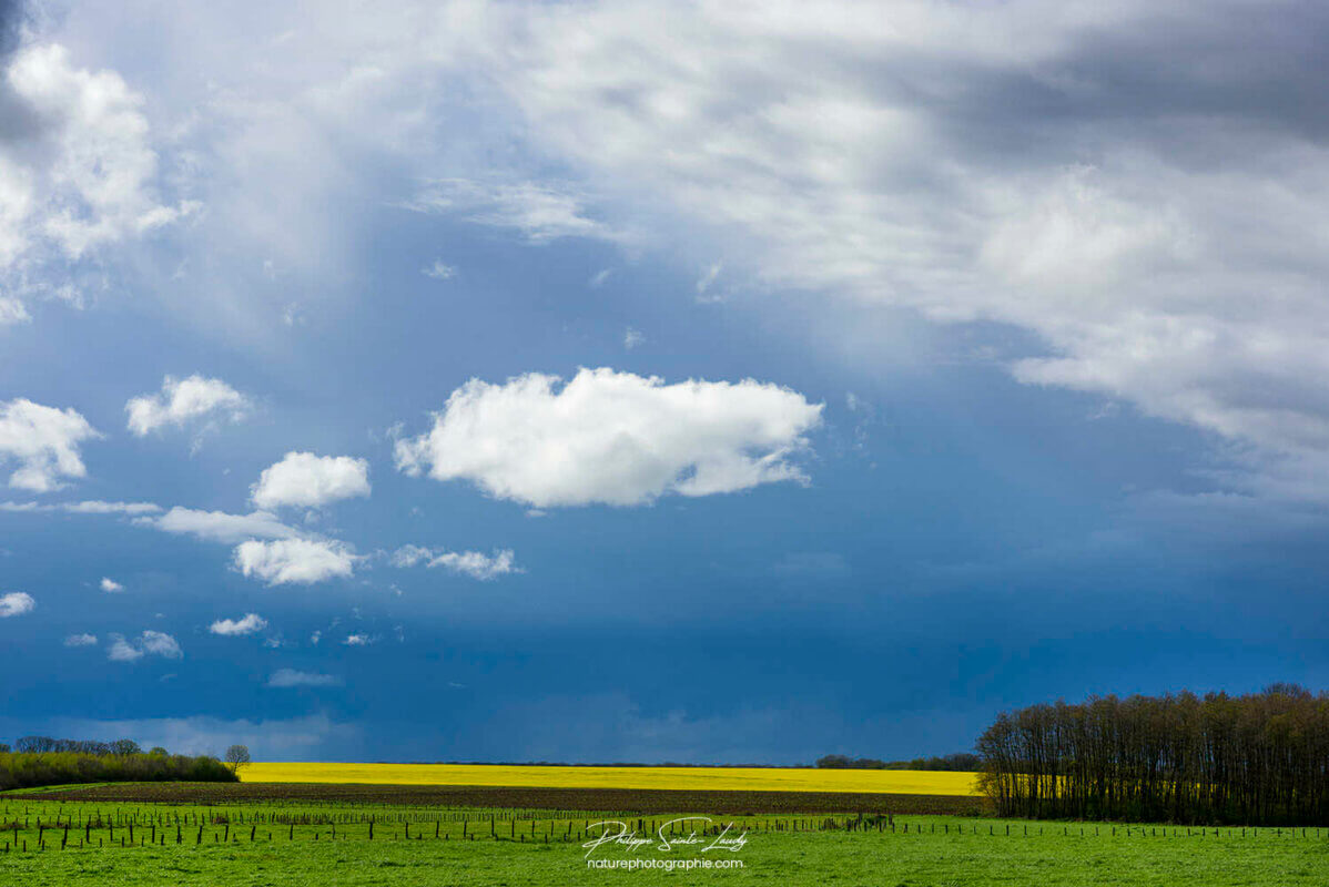 Paysage contrasté