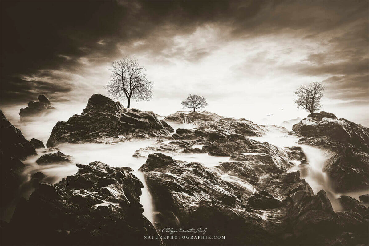 Paysage en sépia
