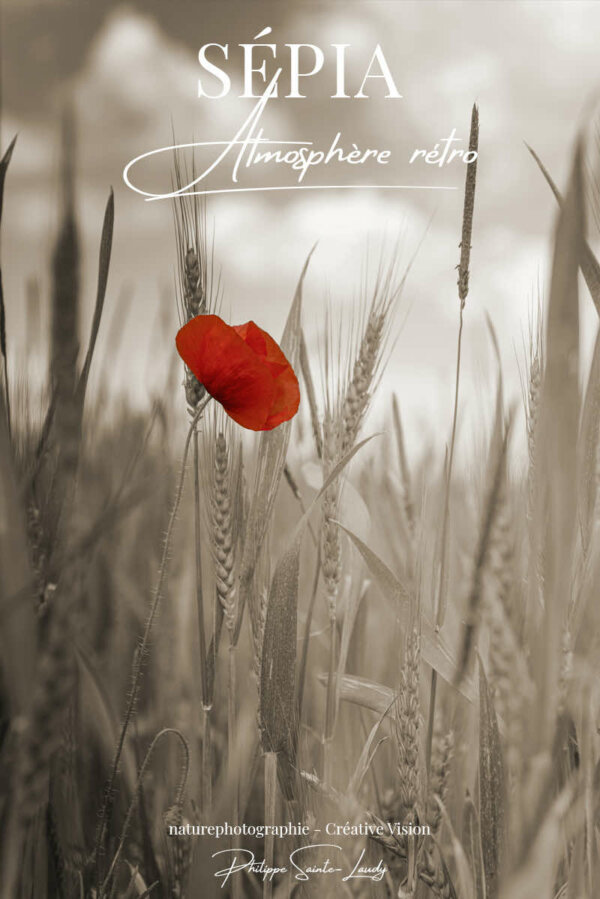 Atmosphère-sépia