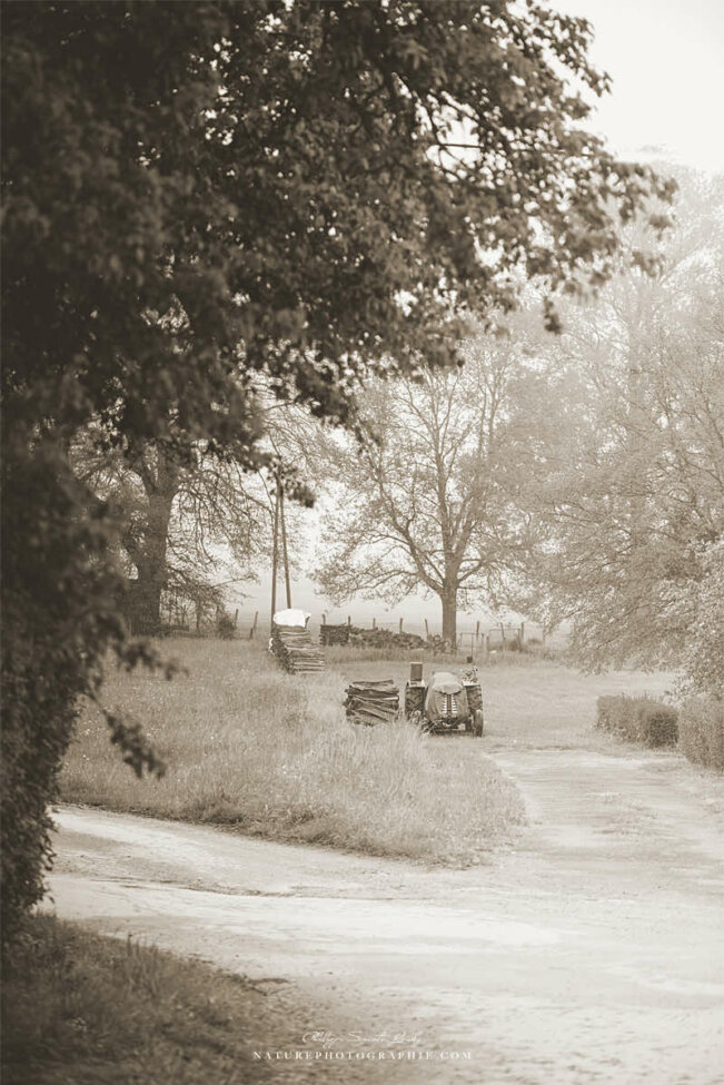 Tracteur en sépia