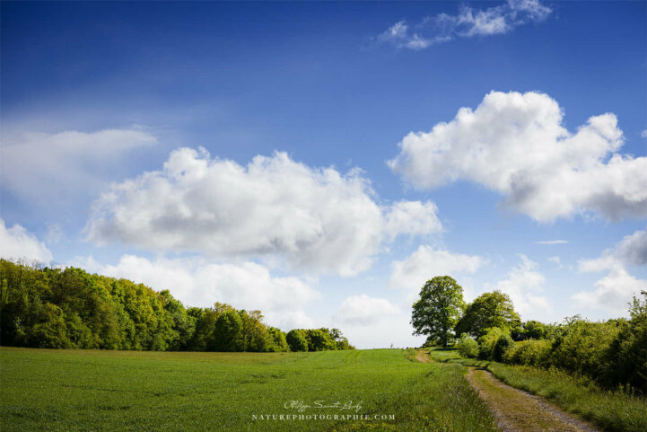 Campagne et beaux nuages