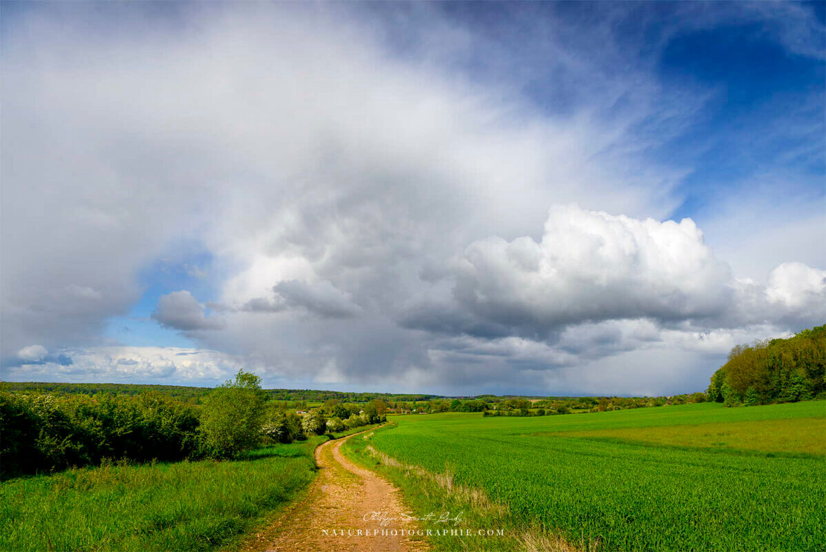 Chemin dans la campagne