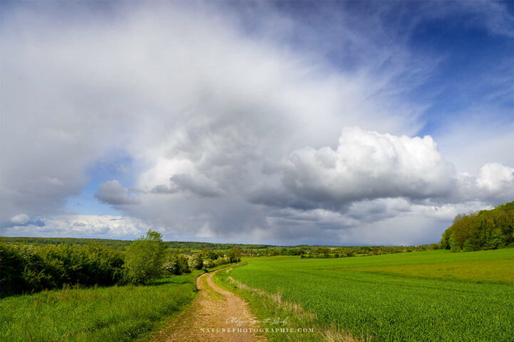 Chemin dans la campagne