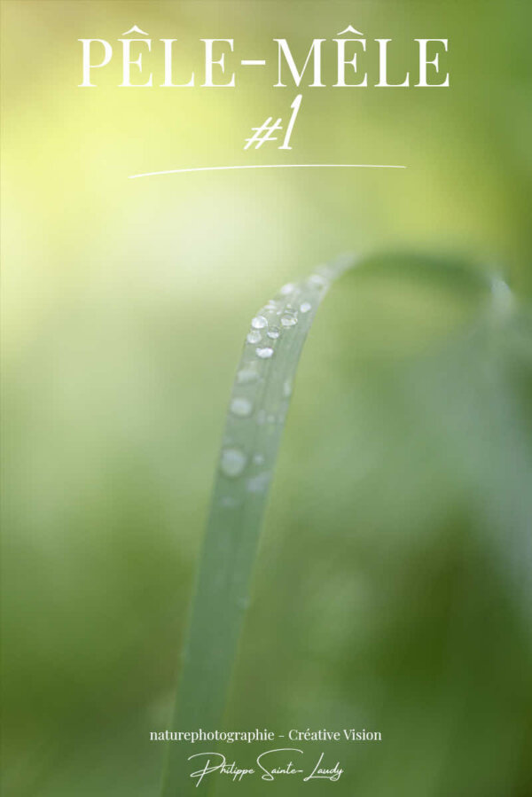 Photos-nature-#1 Pêle-Mêle photos de nature