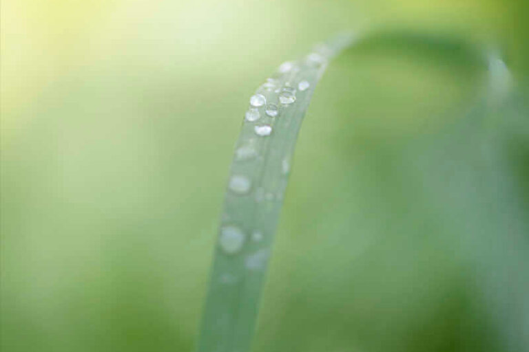 Pêle-Mêle photos de nature
