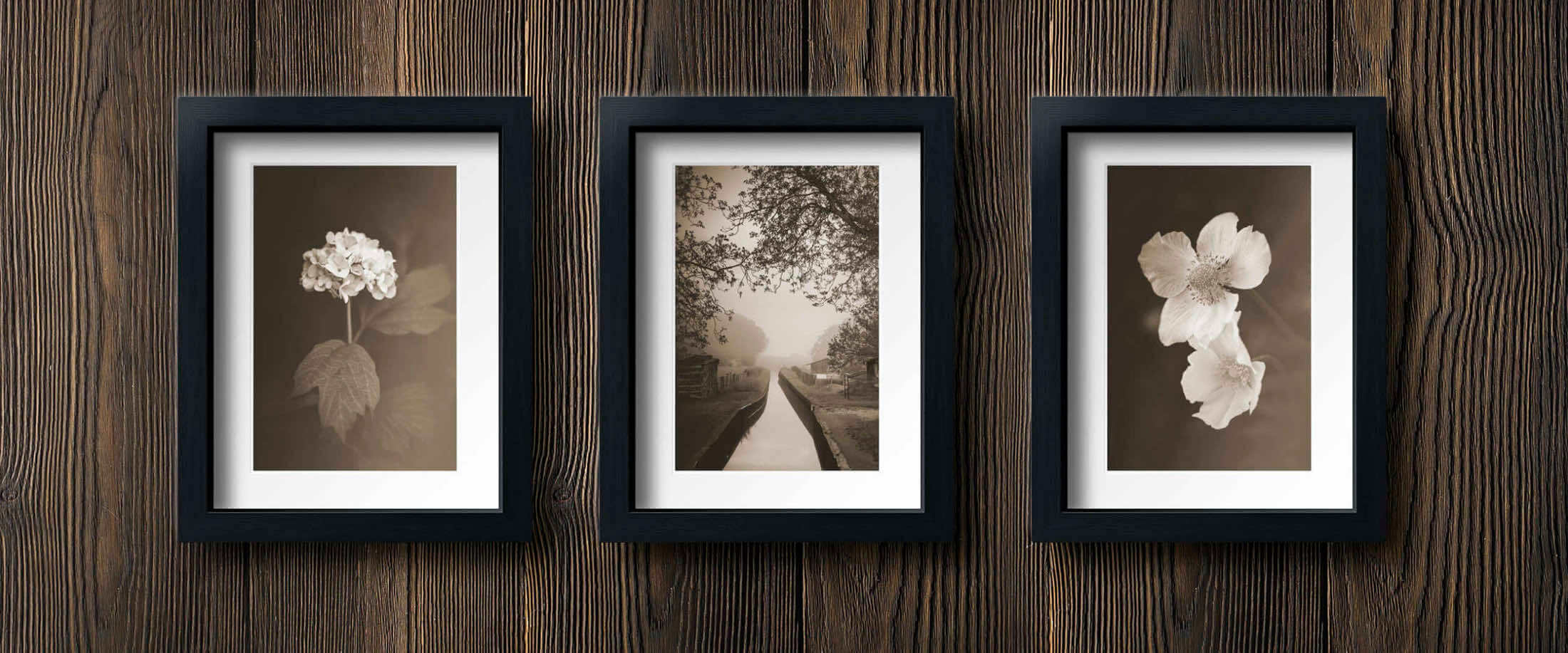 Article sur les photos sépia