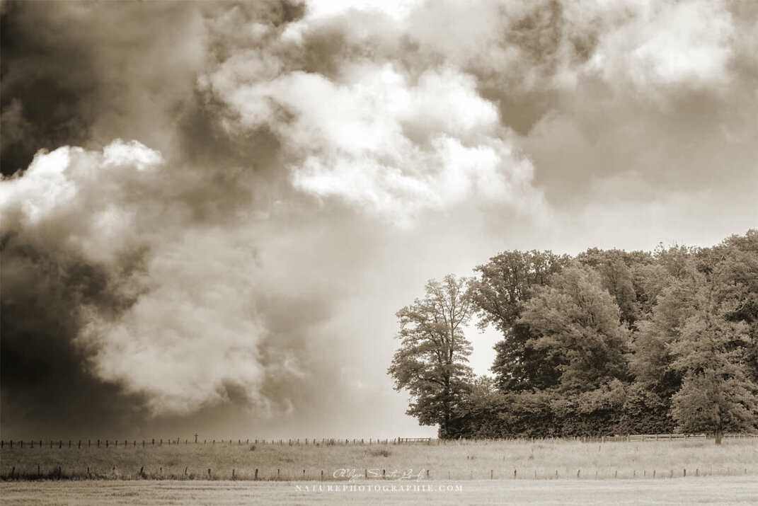 Ciel d'orage en sépia