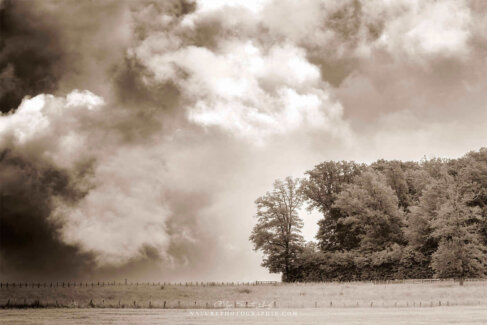 Ciel d'orage en sépia