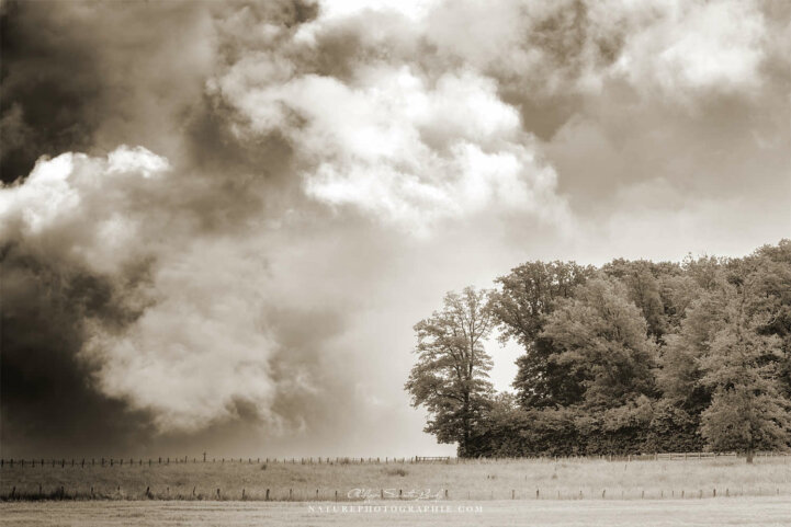 Ciel d'orage en sépia