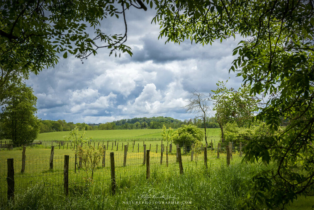 Campagne sous un ciel chargé