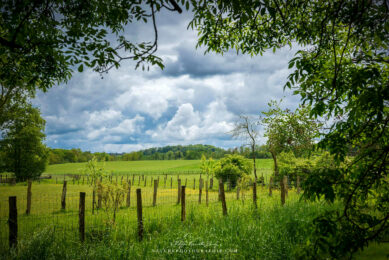 Campagne sous un ciel chargé