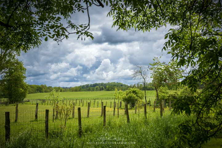 Campagne sous un ciel chargé