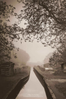 Paysage brumeux en sépia