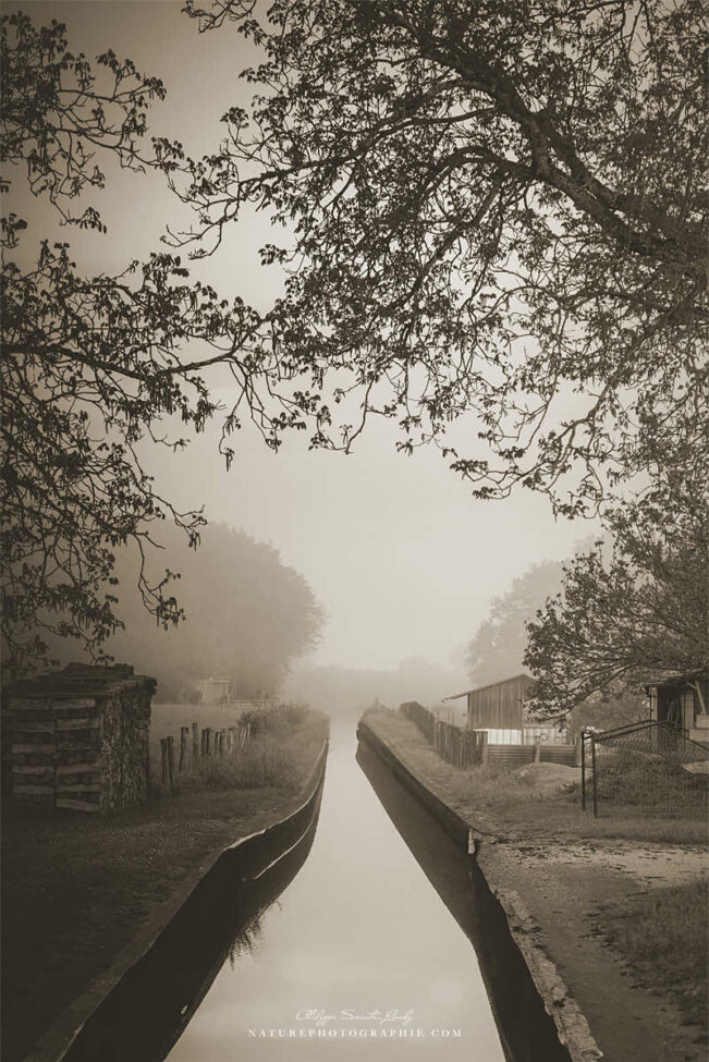 Paysage brumeux en sépia