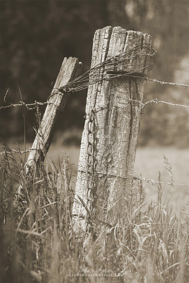 Chaîne contre un poteau