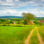 Chemin vers un village