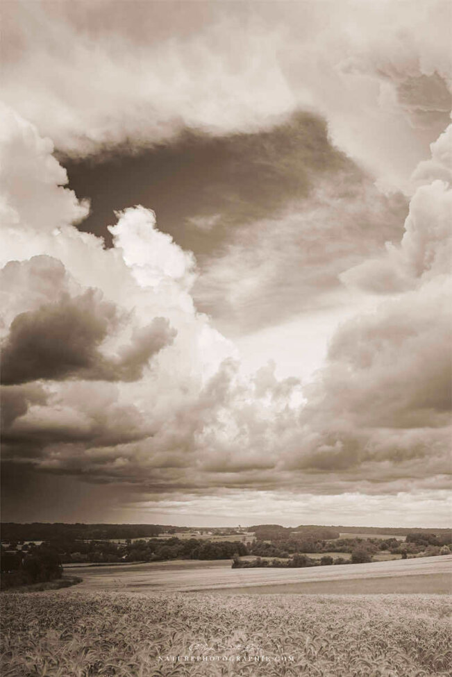 Gros nuages en sépia