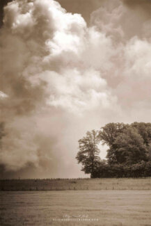 Paysage nuageux en sépia