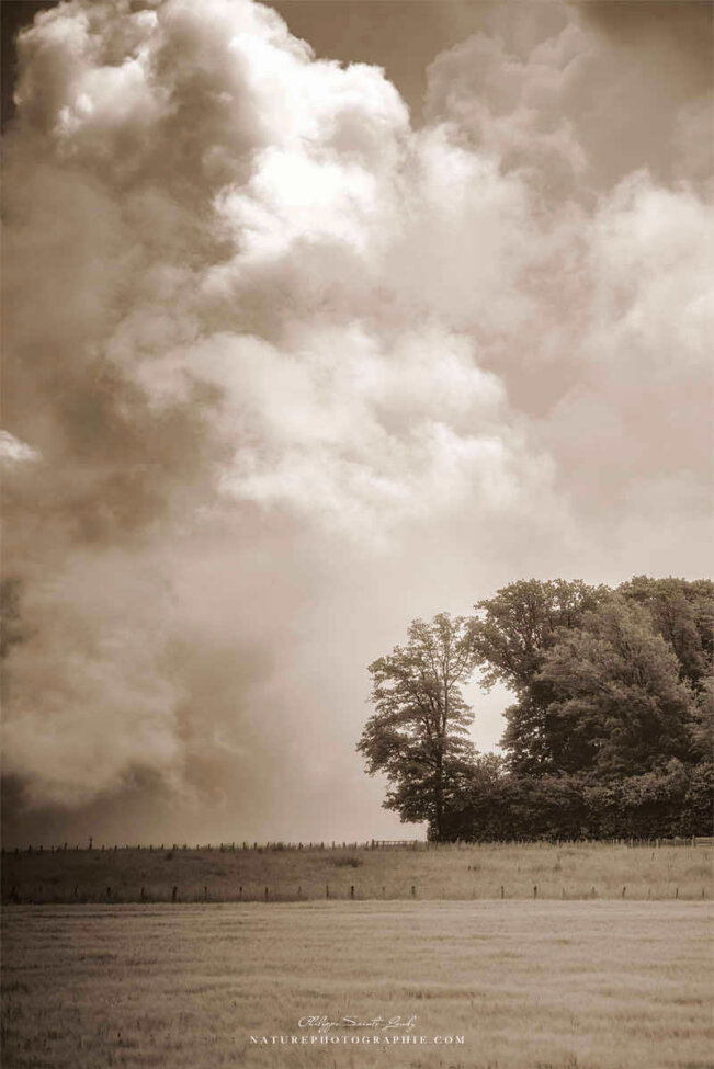 Paysage nuageux en sépia