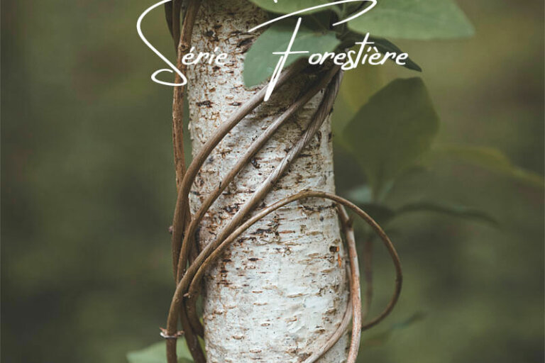 Série de photographies sur des troncs d'arbres entourés de lianes