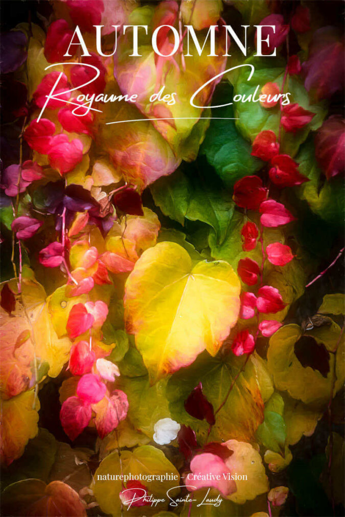Les-couleurs-de-l’automne Couleurs d'automne