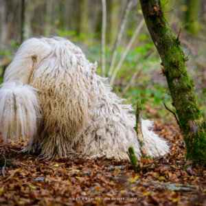 Maddy aime faire des trous Maddy aime faire des trous