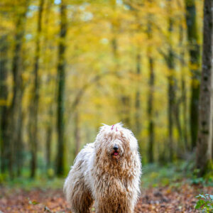 Maddy avec son chouchou du dimanche ;) Maddy avec son chouchou du dimanche ;)