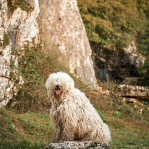 Maddy la langue dehors Maddy la langue dehors