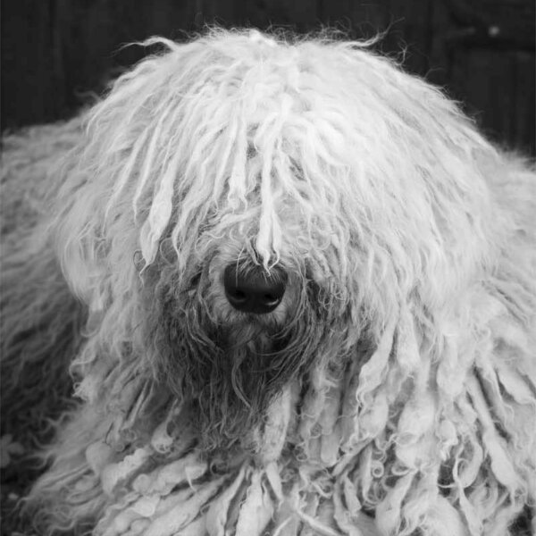 Maddy octobre 2024 Maddy octobre 2024